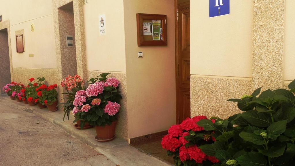 Hostal Rural Casa Castro Alberuela de la Liena Εξωτερικό φωτογραφία